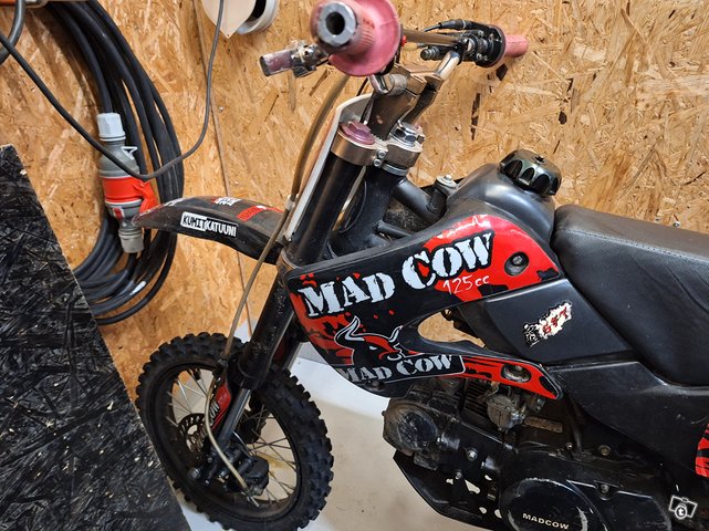 Mad Cow crossi 5