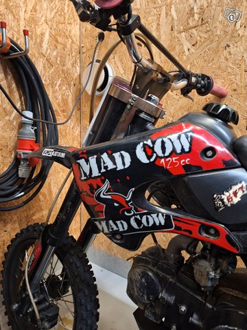 Mad Cow crossi 11