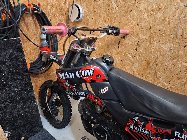 Mad Cow crossi 14