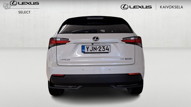 Lexus NX 4
