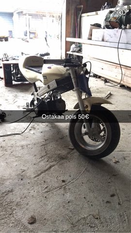 50cc Minimoto