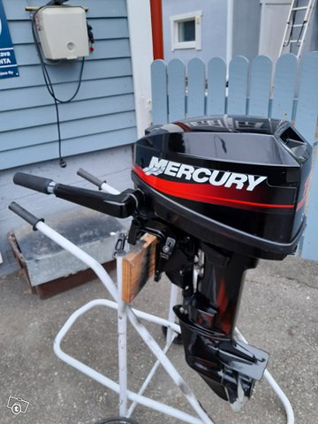 Mercury 15 M, kuva 1