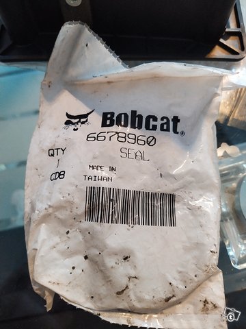 Bobcat 4