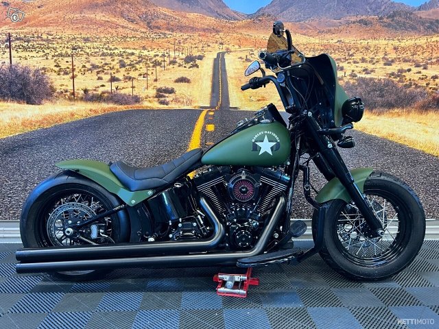 Harley-Davidson Softail 6