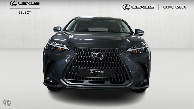Lexus NX 7