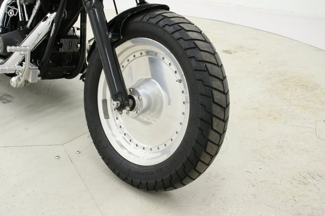 Harley-Davidson SOFTAIL 19