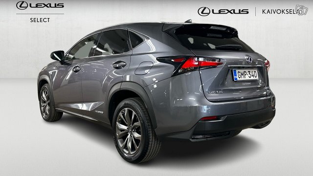 Lexus NX 3