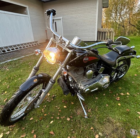 Harley Davidson Softail, kuva 1