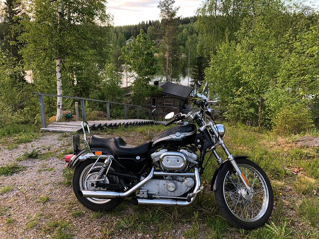 Harley-Davidson XL883C Sportster 883 Custom 1