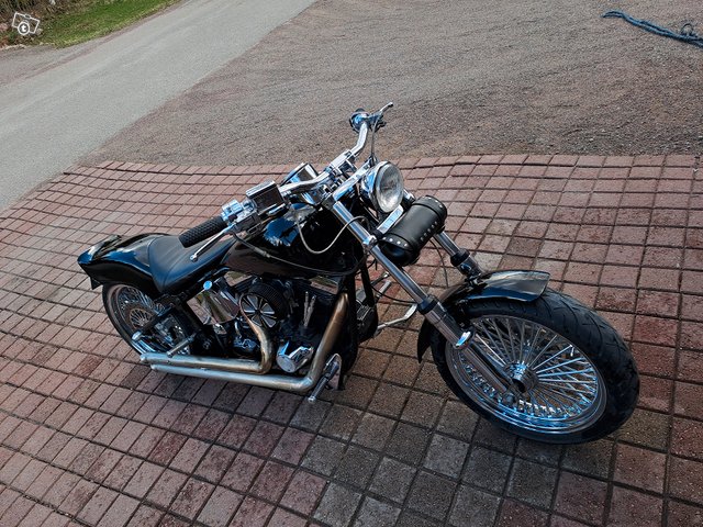 Harley-Davidson Softail , Hieno!, kuva 1