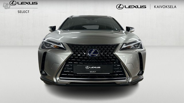 Lexus UX 7