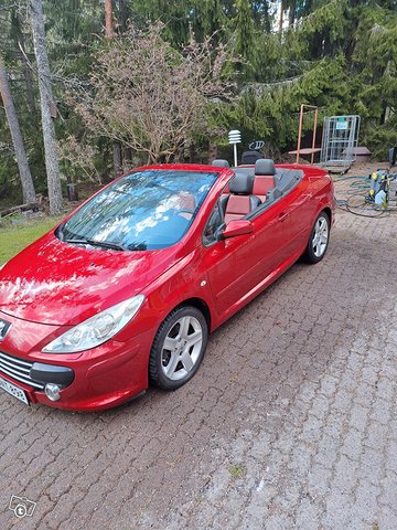 Peugeot 307 3