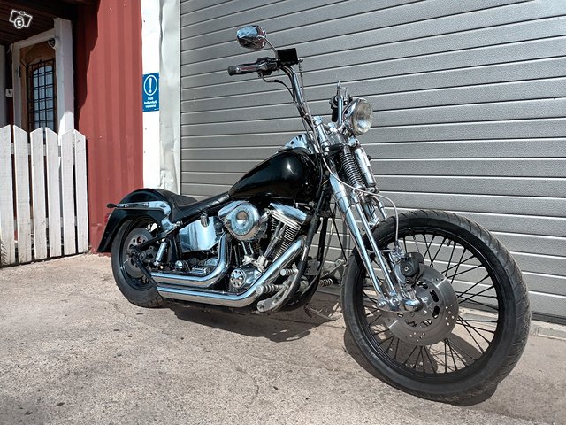 Harley-Davidson springer softail 5