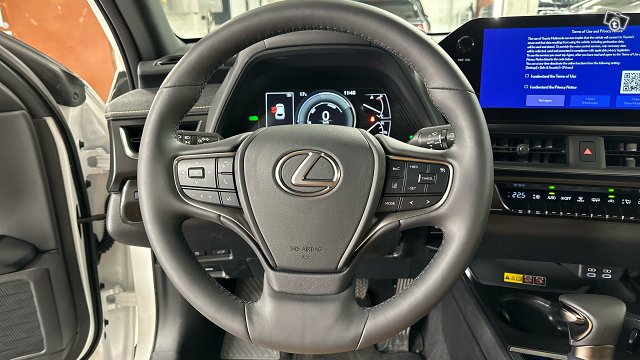 Lexus UX 12