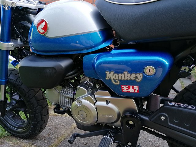 Honda Monkey 125 2022 4