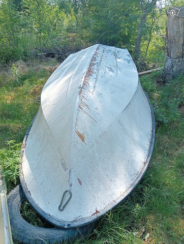 Pulpettivene, kuva 1