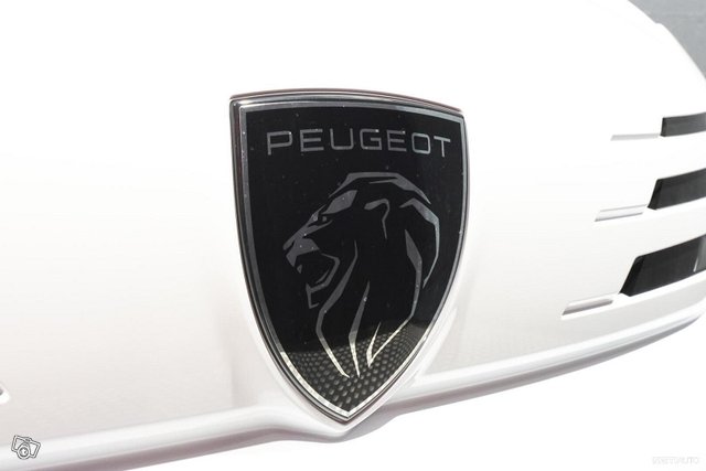 Peugeot Expert 12