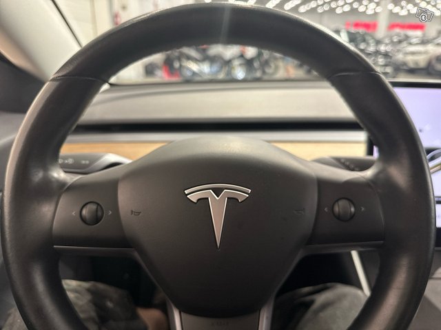Tesla Model 3 21