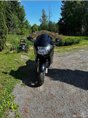 Honda CBR 1100 xx SuperBlackbird 6