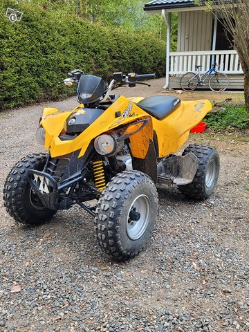 Can am ds 250 1