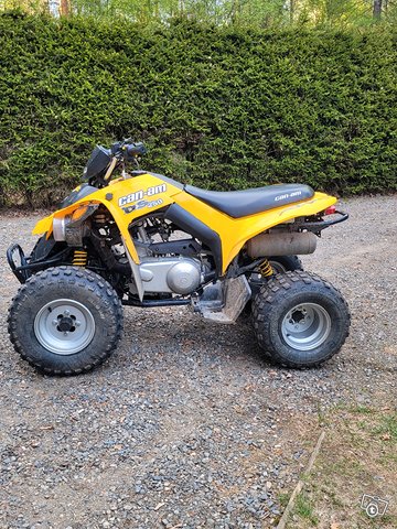 Can am ds 250 2