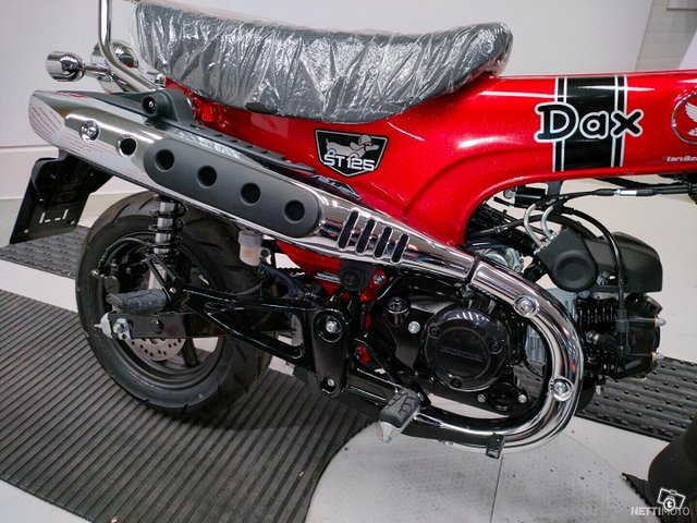 Honda Dax 13
