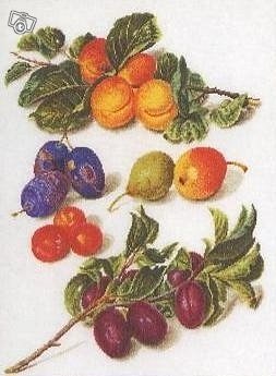 Thea Gouverneur,  Peaches and Plums ristipistopakkaus, kuva 1