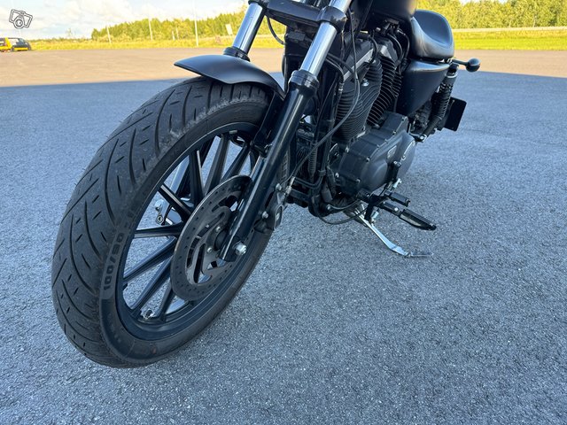 Harley-Davidson Sportster XL 883 N IRON 11