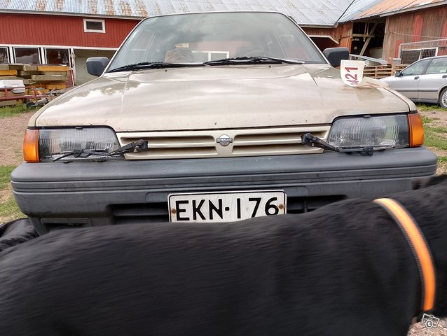 Nissan Sunny, kuva 1