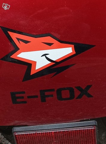 E-Fox cruiser 1