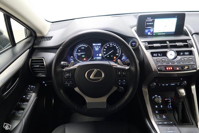 Lexus NX 19