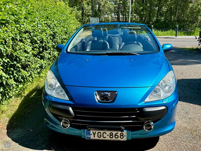 Peugeot 307, kuva 1