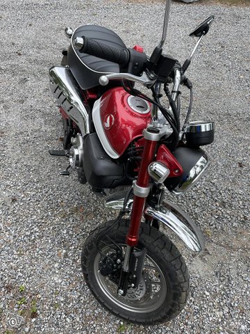 Honda Monkey 6