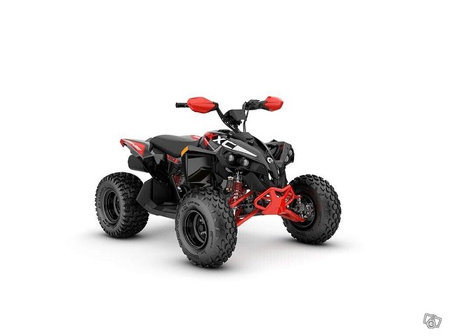 Can-Am Renegade 2