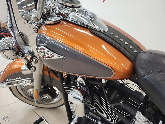 Harley-Davidson SOFTAIL 19