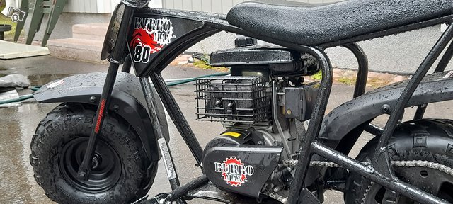 Burro 80cc pihamopo 6