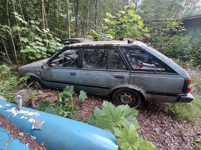 Nissan Sunny, kuva 1