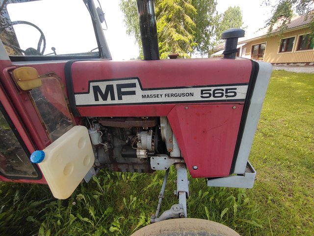 Massey Ferguson 565 6