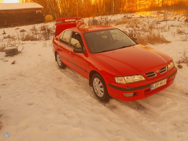 Nissan Primera, kuva 1