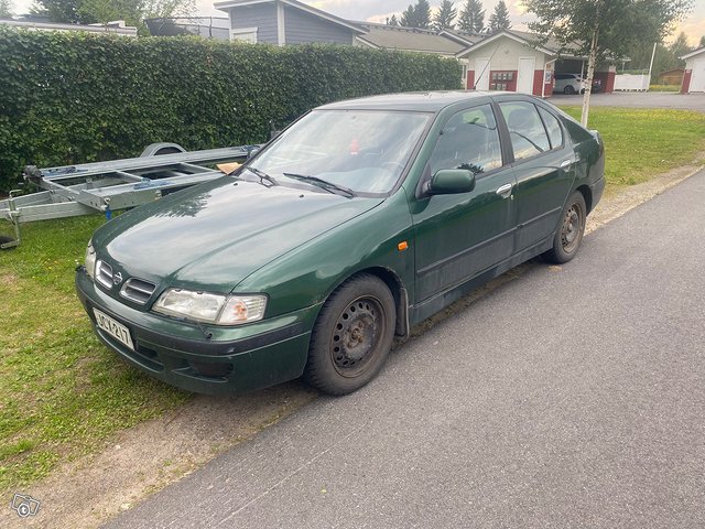 Nissan Primera, kuva 1