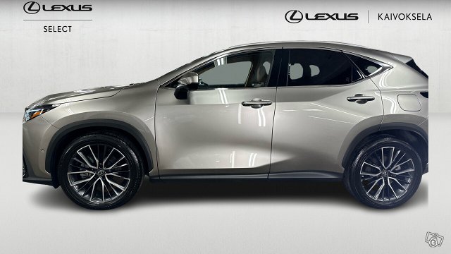 Lexus NX 2