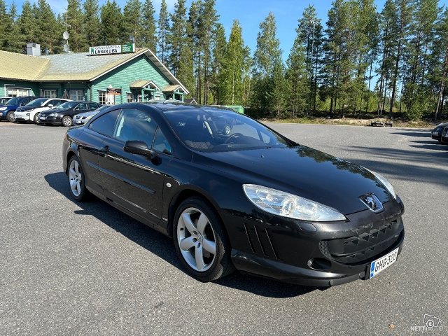 Peugeot 407 6