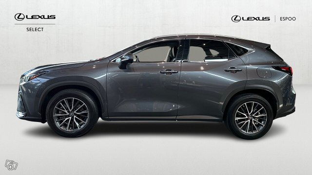 Lexus NX 2