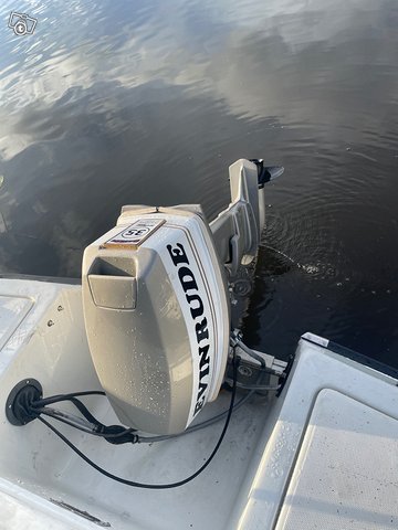 Evinrude 35hp 3