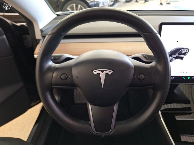 Tesla Model 3 20