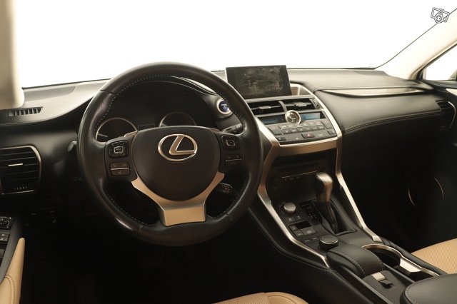 Lexus NX 17