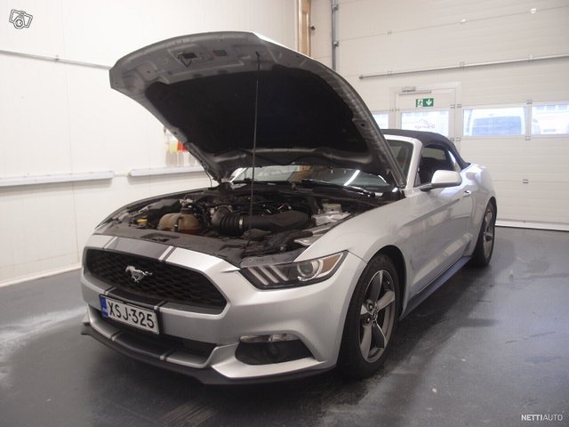 Ford Mustang 14