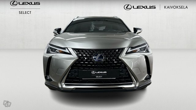 Lexus UX 7