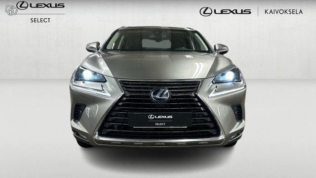 Lexus NX 7