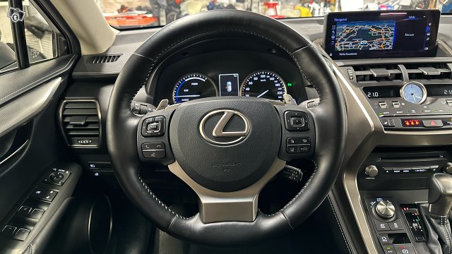 Lexus NX 12